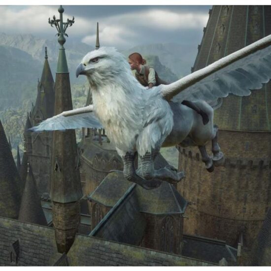 NS2HOGWART2EUR-4 NS2HOGWART2EUR-4